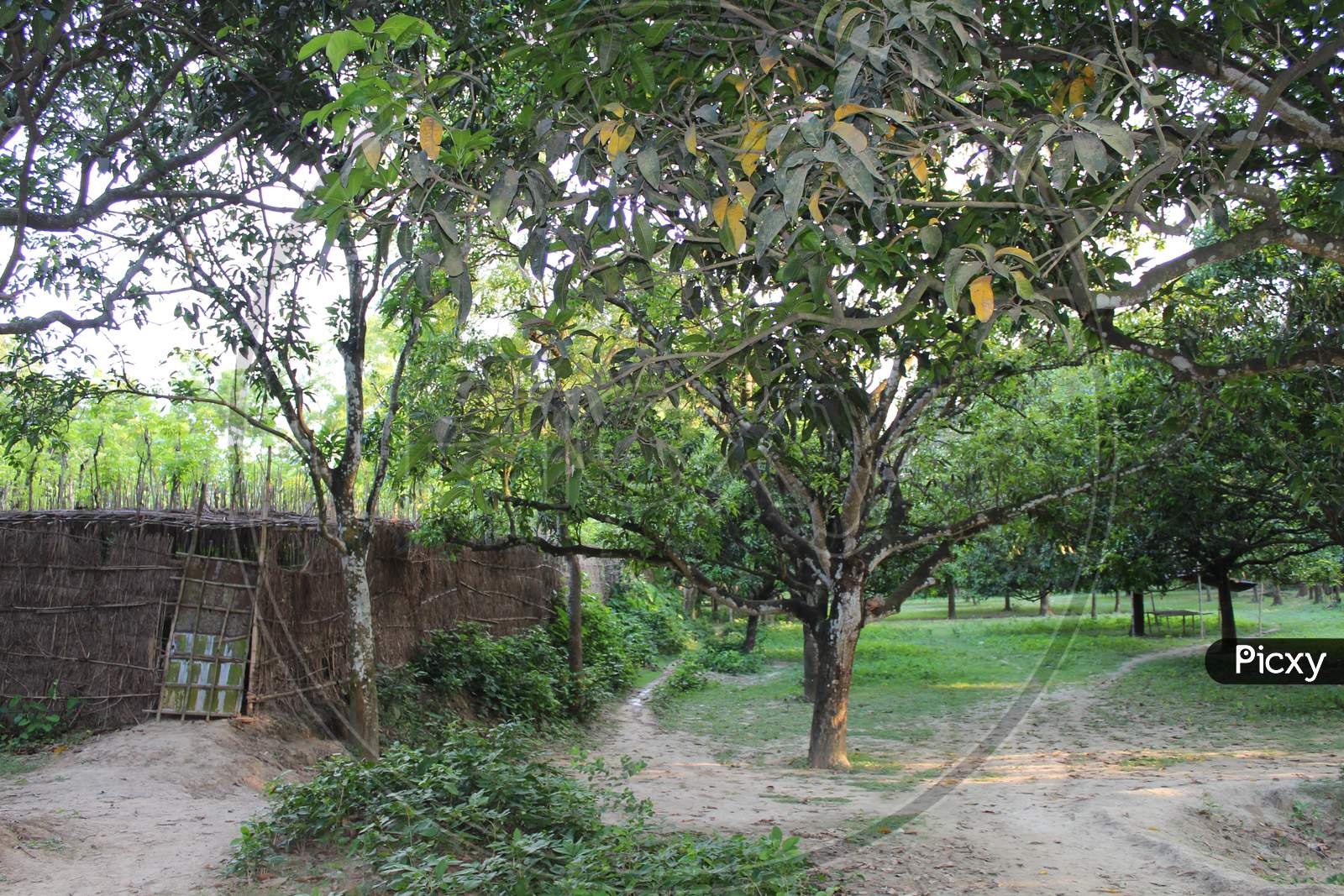 view of a rural Indian village