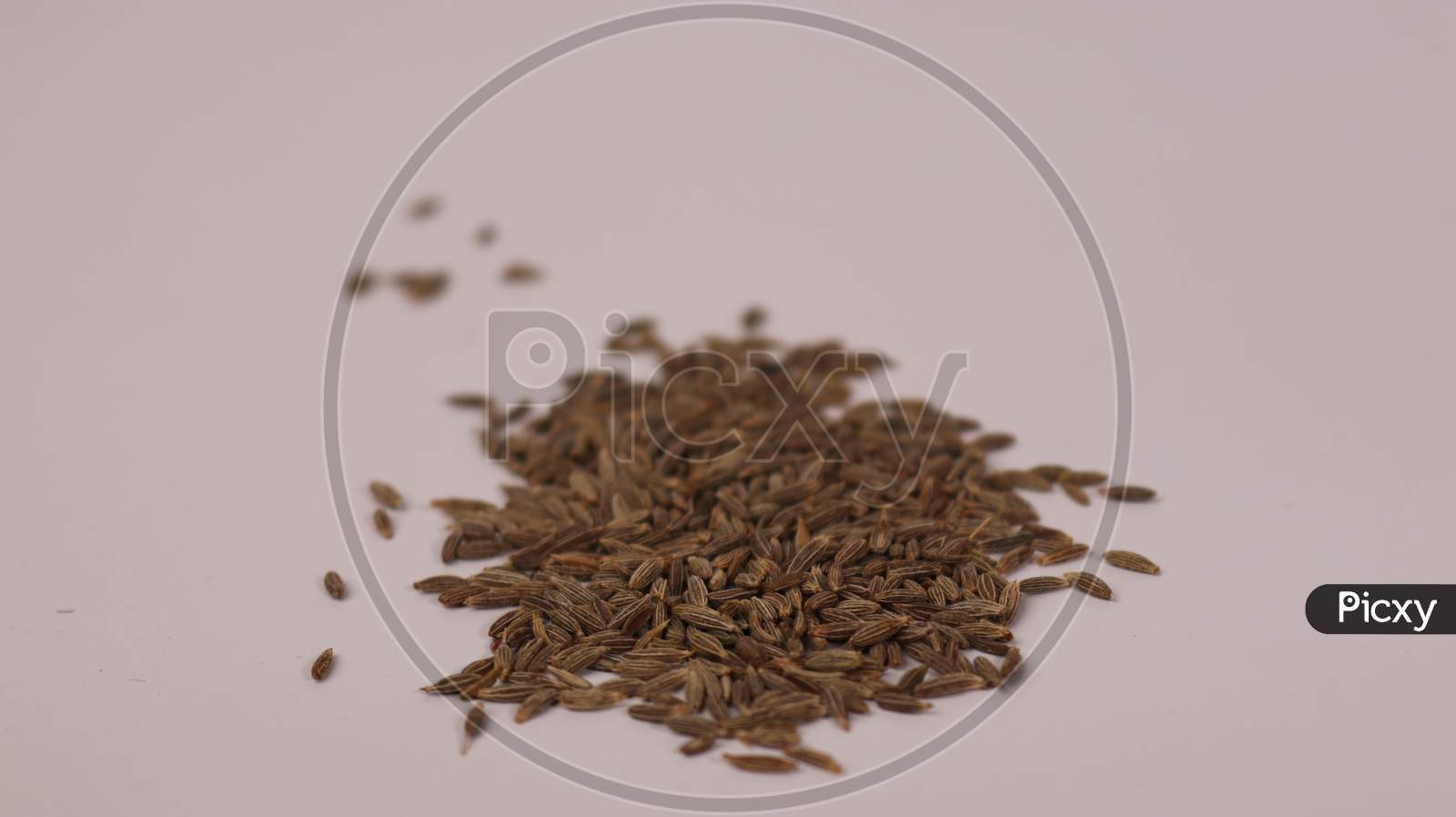 Cumin or zeera seeds
