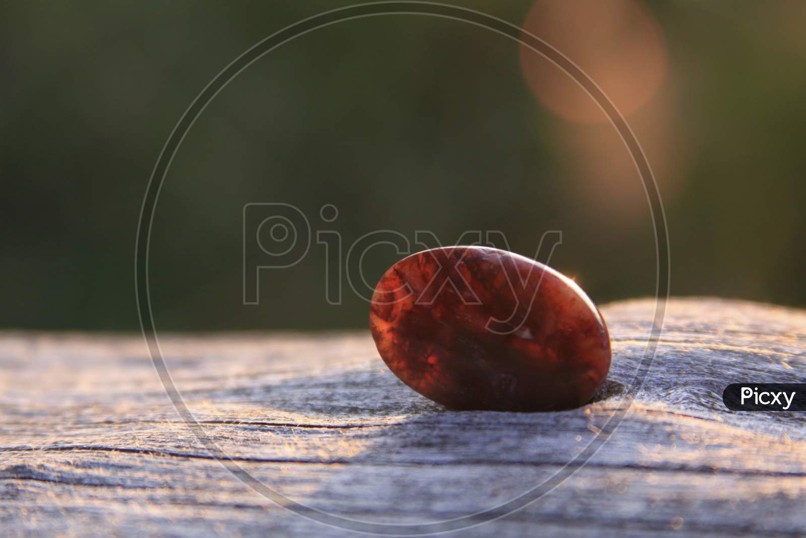 Deep Red Moss Agate On Wood Shining In The Sunlight