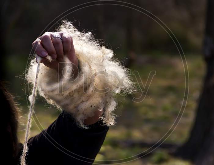 The Hands That Spin Wool Fleece By Hand