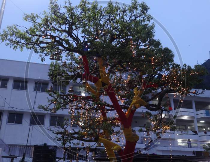 evening shots of decorations during Navratra in Vaishno Devi Shrine