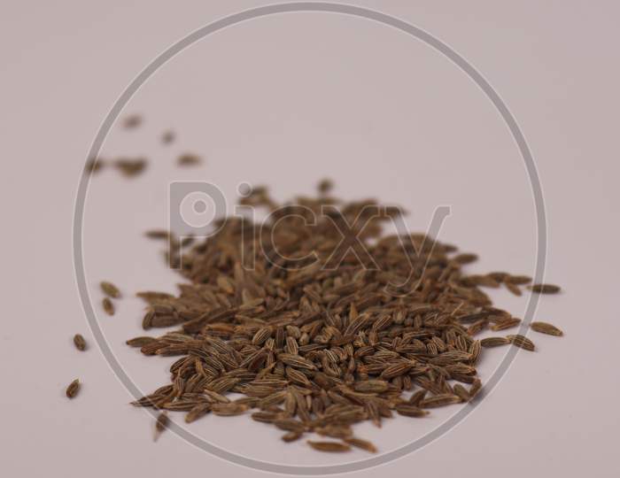 Cumin or zeera seeds