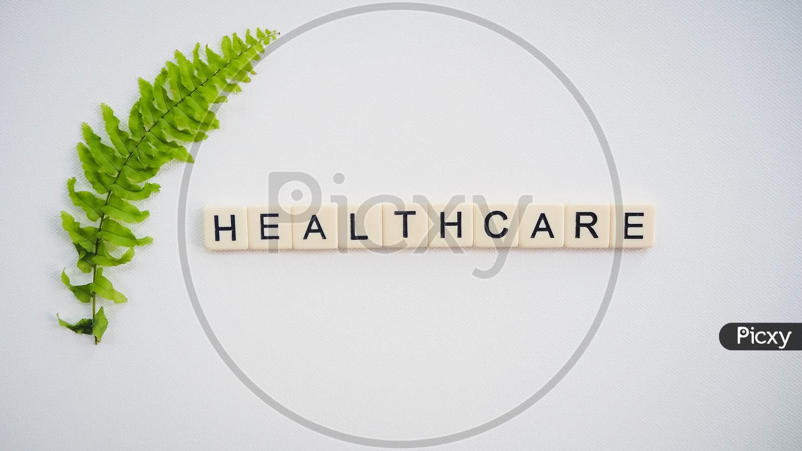 Healthcare text with green fern leaf over white background.
