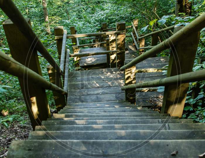 National Park Forest Wood Stairs
