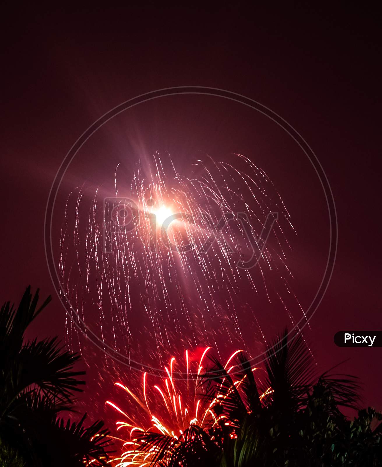 Red And Pink Fireworks At Night Sky With Visible Trees