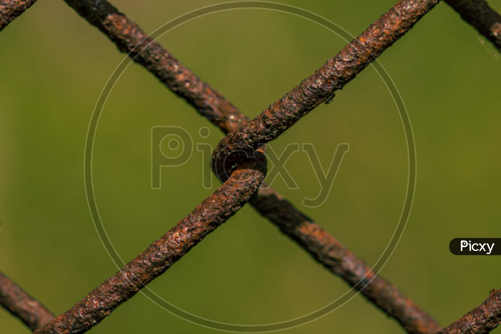 Rusty Metal Fence, Weave Close Up