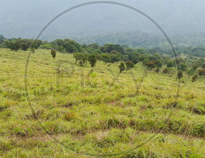 Grassland and valley landscape view Ponmudi hill station Trivandrum