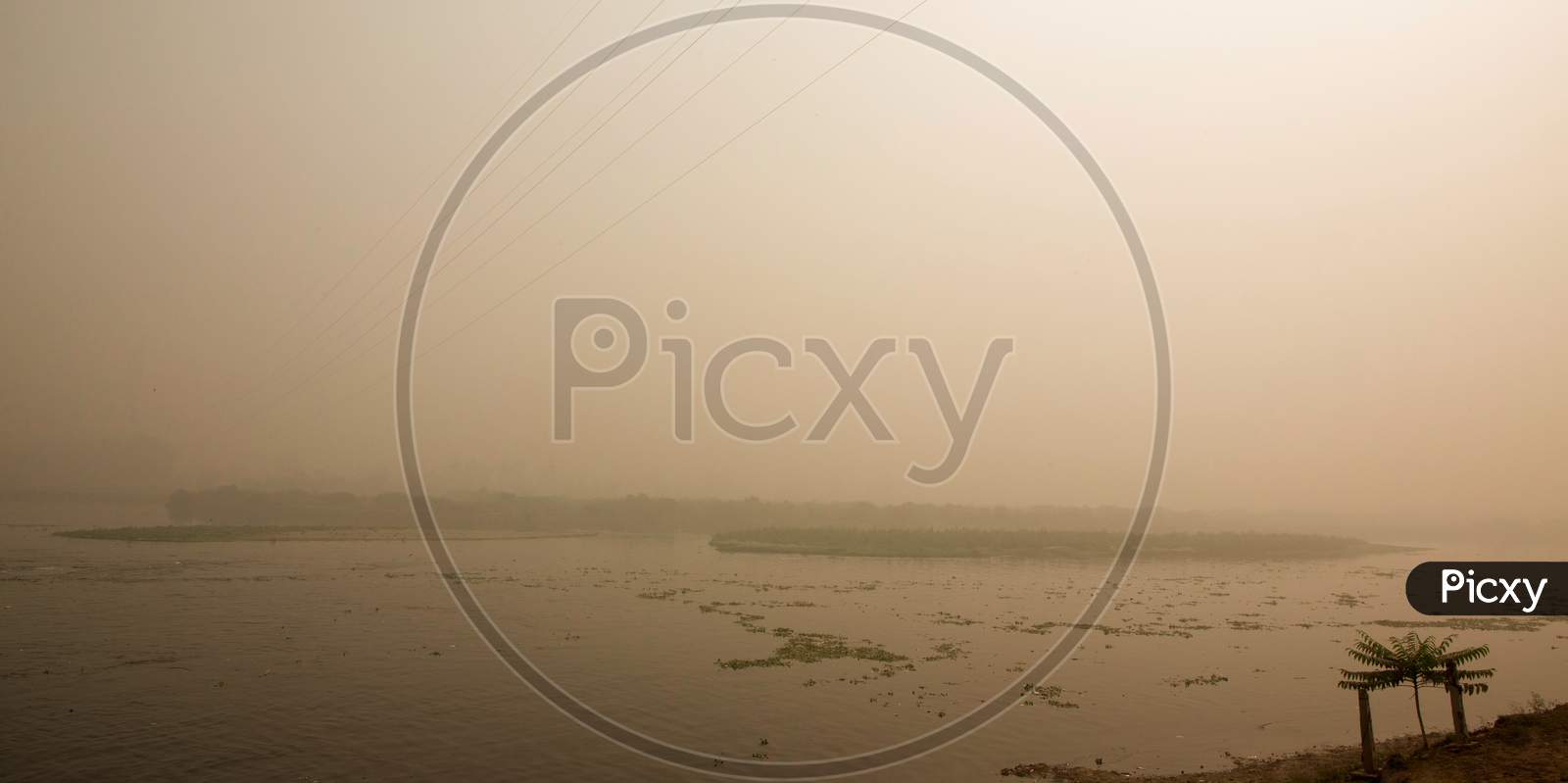 Polluted Smog Covered River Yamuna At New Delhi