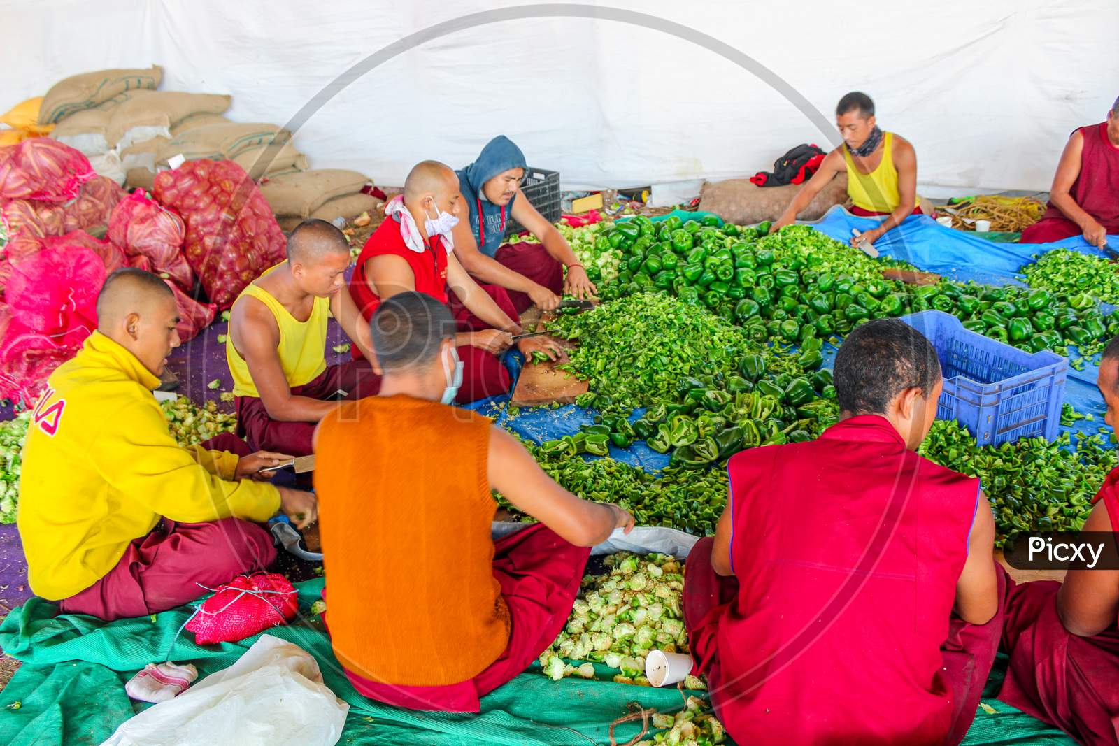 Buddhist Monks cutting Vegetables at Bylakuppe in Karnataka