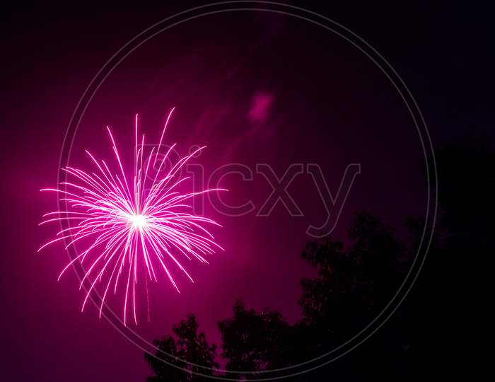 Purple Fireworks At Night Sky With Visible Trees