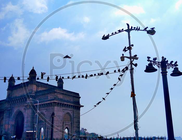 Evening Picture Of Gate Way Of India With The Birds Sitting Near It