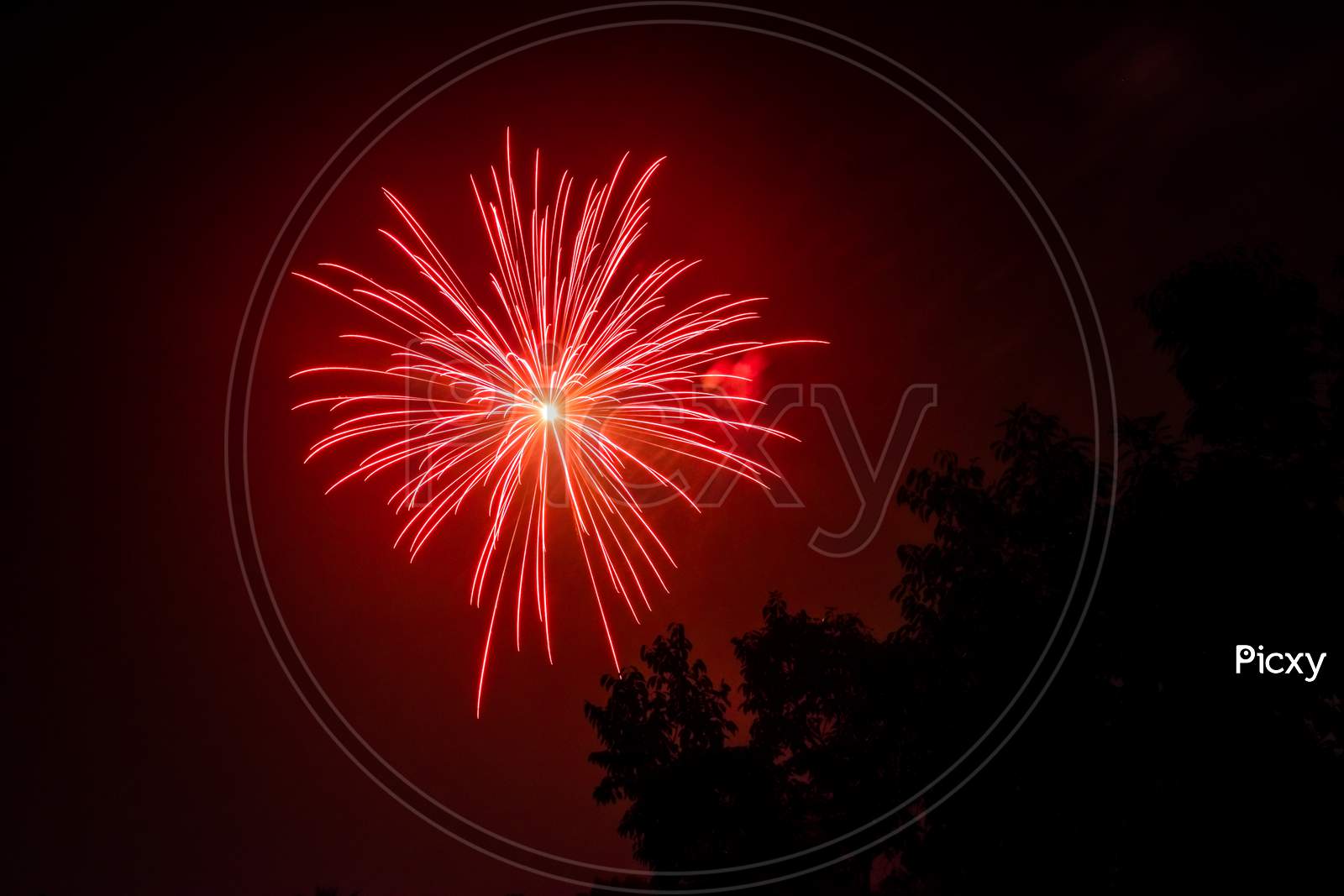 Red Fireworks At Night Sky With Visible Trees