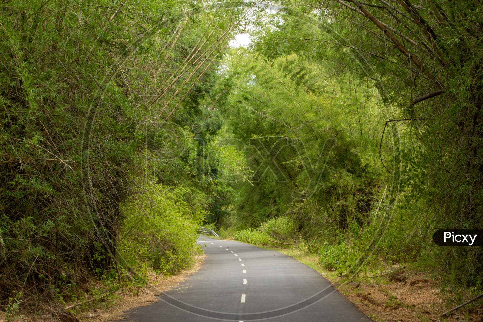 Beautiful Ghat Road Along The Mountain Range Of Talamalai Reserve Forest, Hasanur, Tamil Nadu - Karnataka State Border, India