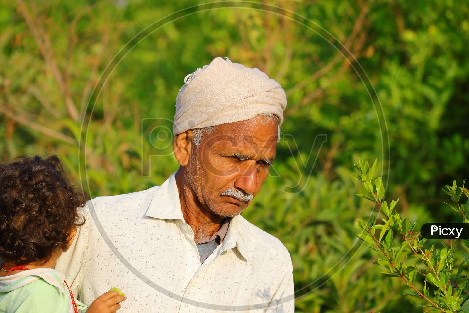 A Grandfather Stands With A Grandson In His Hands In The Garden
