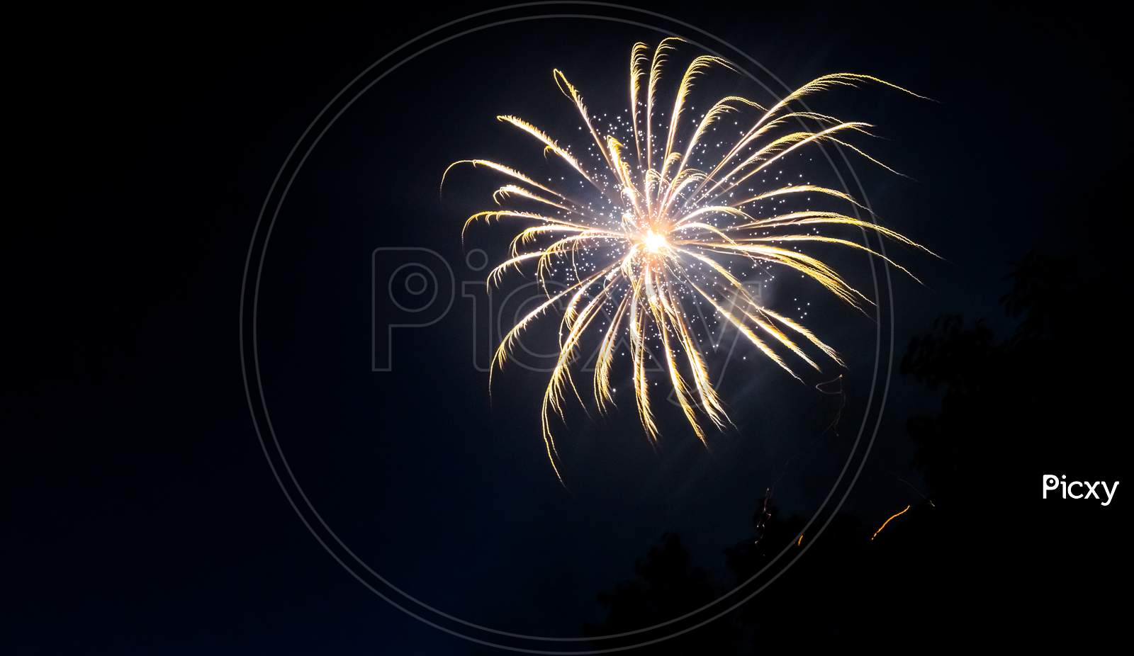 White And Yellow Fireworks At Night Sky With Visible Trees