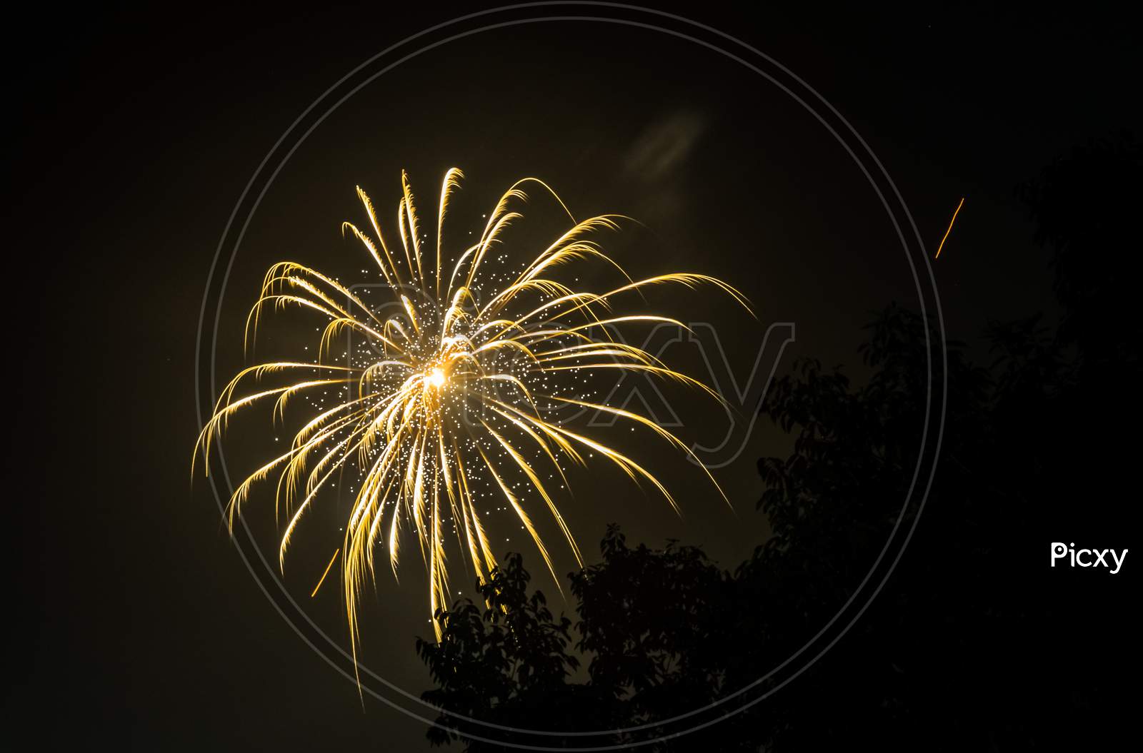 Yellow Fireworks At Night Sky With Visible Trees