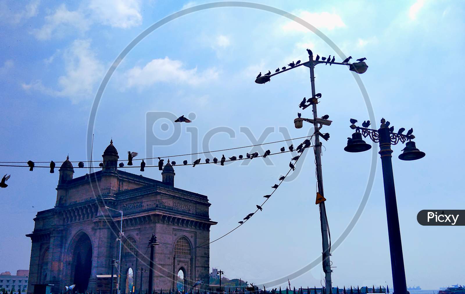 Evening Picture Of Gate Way Of India With The Birds Sitting Near It