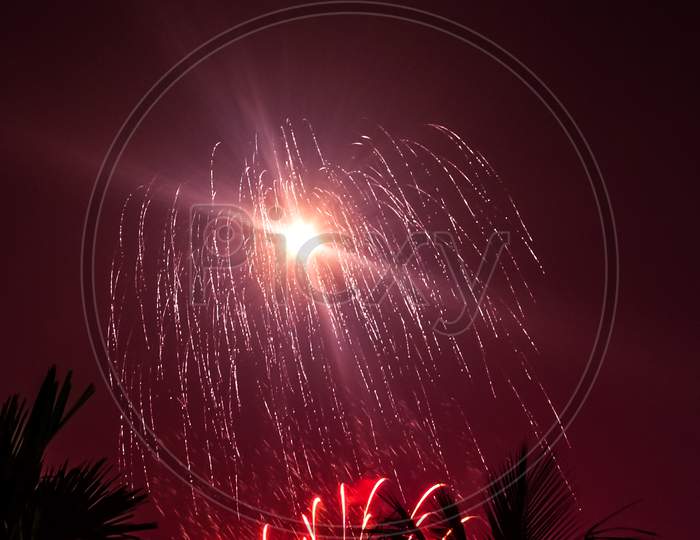 Red And Pink Fireworks At Night Sky With Visible Trees