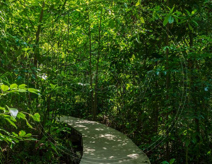 Thailand Natural Park, Walking Trail