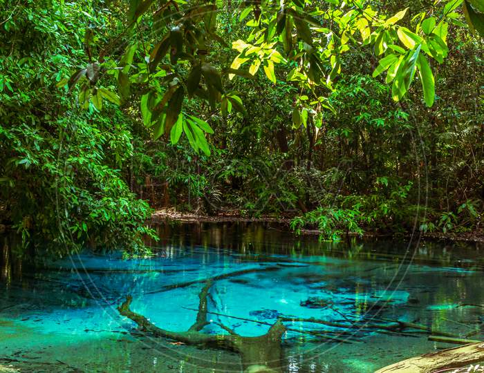 Natural Crystal Blue Water, Emerald Pool