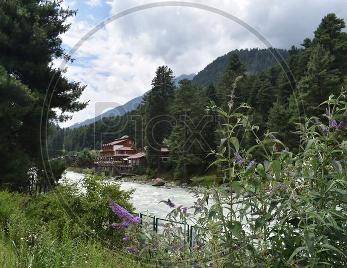 Beautiful View At Kashmir,India.