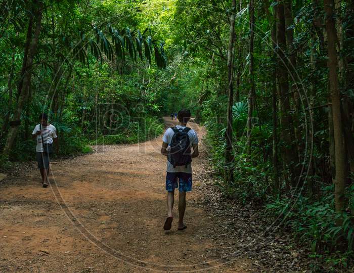 Krabi Town, Thailannd: March 28 2019 - Natural Park Jungle Walking Road And Tourists