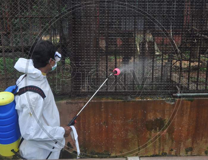 A Worker Wears Personal Protective Equipment (Ppe) As He Sprays Disinfectants At The Animal Cages As A Preventive Measure Against The Spread Of The Covid-19 Coronavirus At Assam State Zoo In Guwahati, India