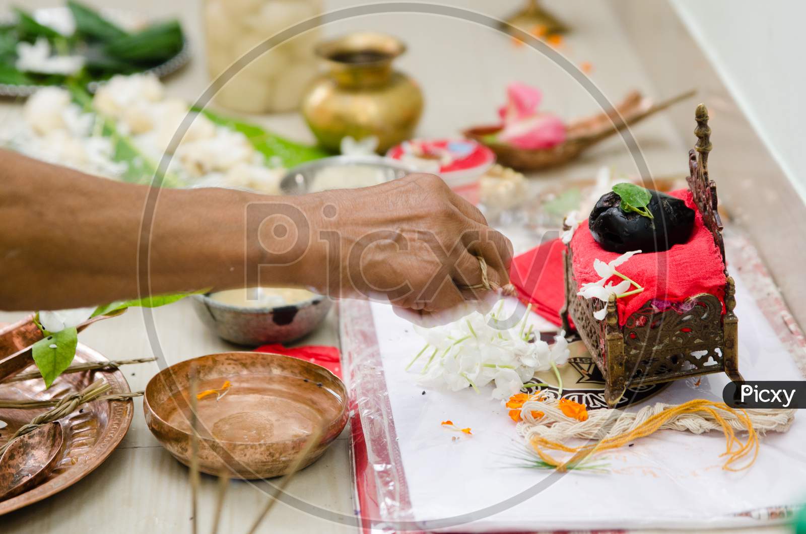 Conch kept in plate during a ritual of rice ceremony in India