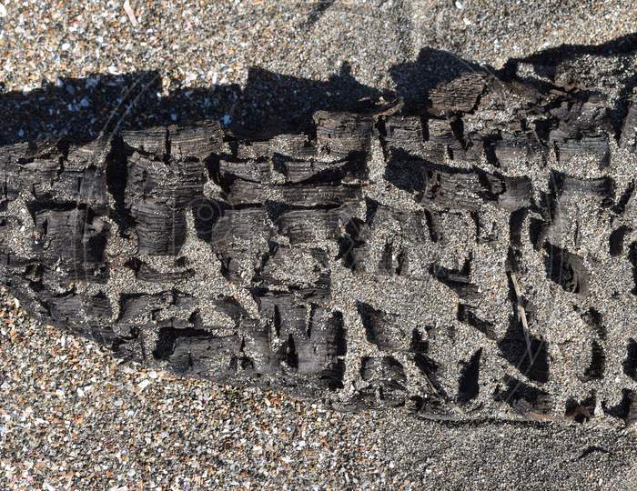 The sculpture like charcoal after the camp fire at the beach