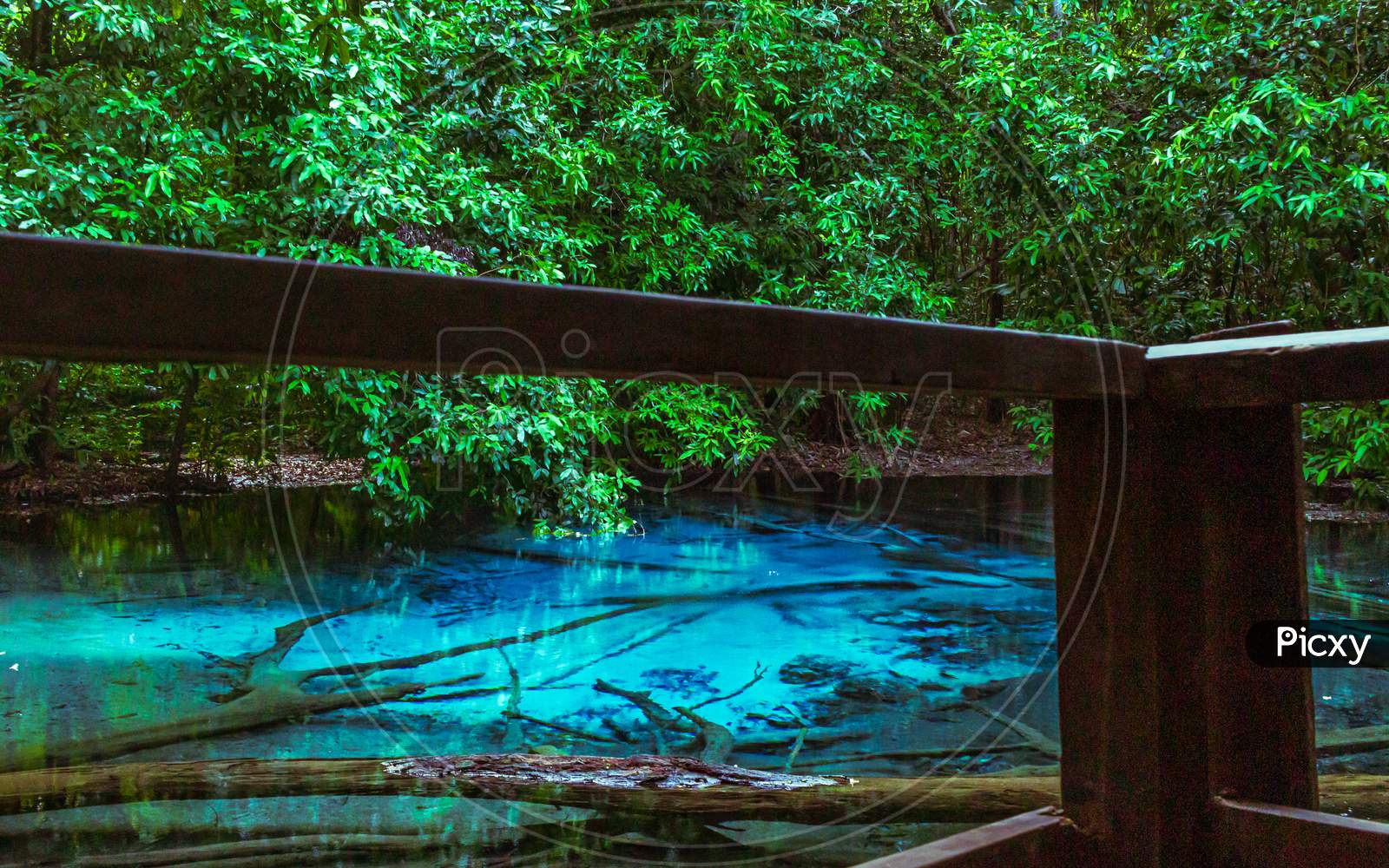 Natural Crystal Blue Water, Emerald Pool