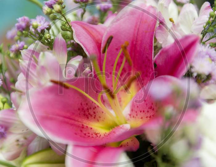 Close Up Of Pink Lily Flowers Around By Roses, Carnation Flowers And Green Leaves. Close Up Of Beautiful Colorful Bouquet Of Flowers With Lily And Roses. Different Kind Of Flowers. Selective Focus.