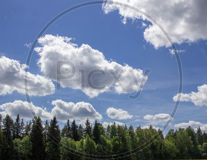 Simple Nature Picture Forest And Clouds
