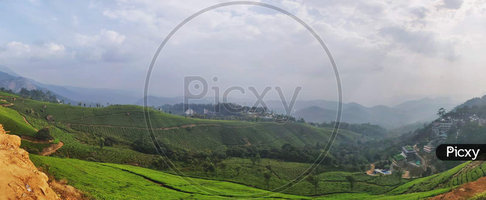 Panorama Of A Landscape Filled With Greenery (Tea Plantation) And Cloudy Sky In Munnar, Kerala, India.