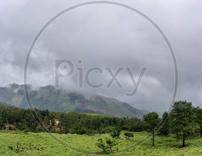 A Landscape Sceneic Veiw Of Meadow On Mountain Range. Panorama. Ponmudi, Kerala, India.