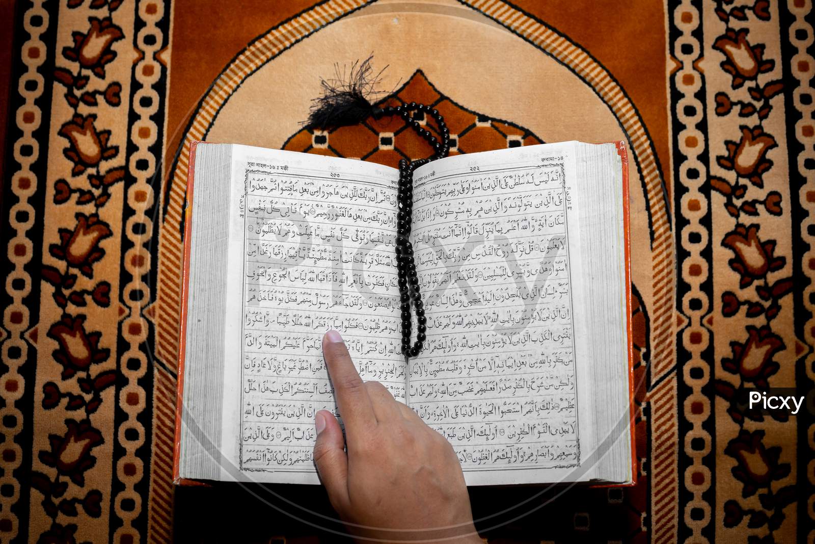 Muslim Woman Reading The Holy Quran Using The Finger. The Holy Quran On The Mat Of Prayers . Top Angle Views. Indoors.