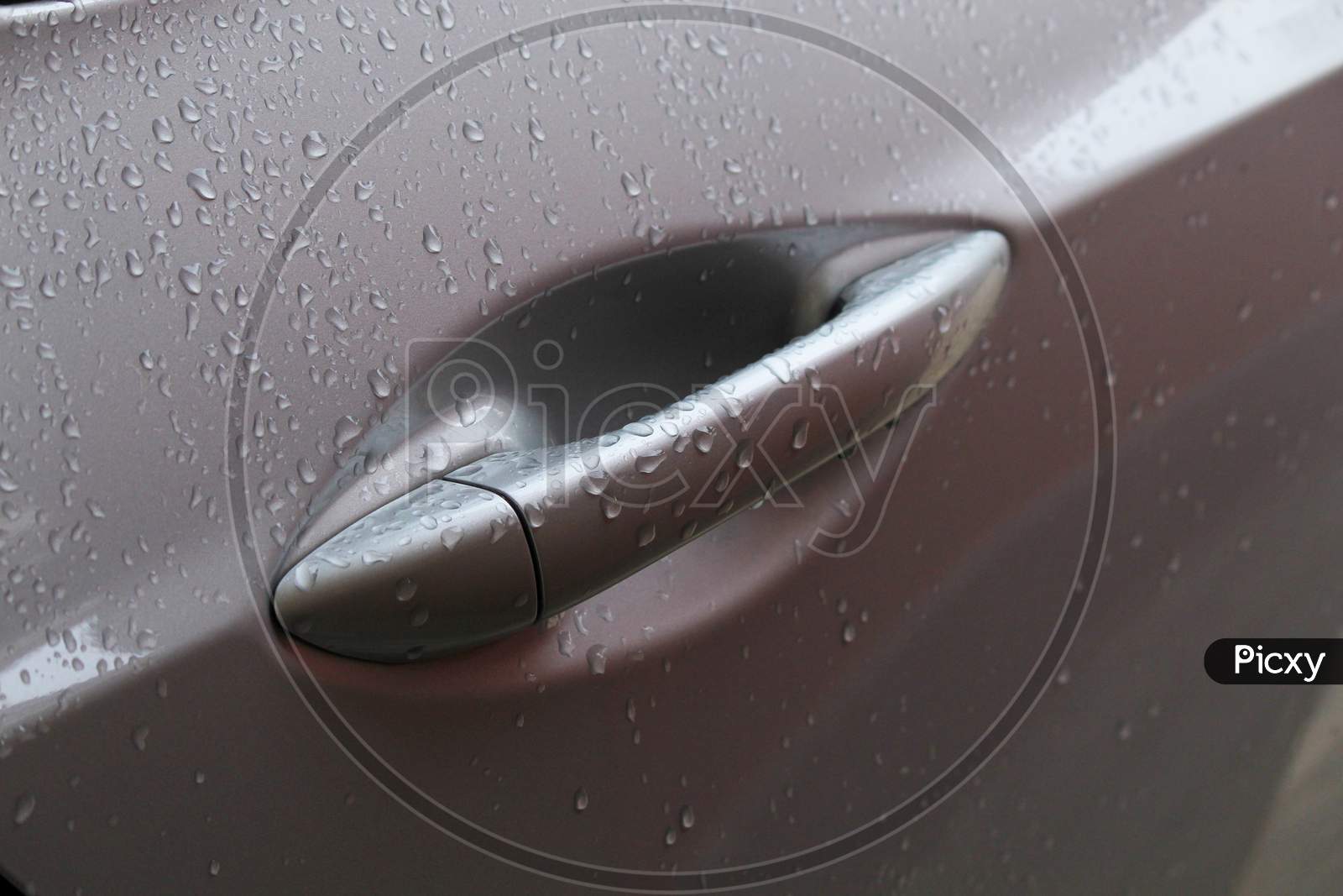Car Door Handle In Rain