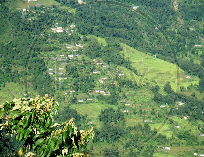view of the green valley in Gangtok