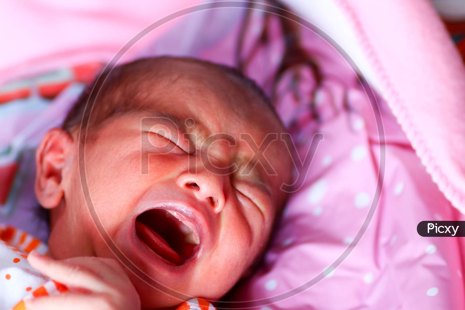 A Newborn Asian Baby Crying With Open Mouth And Closed Eyes