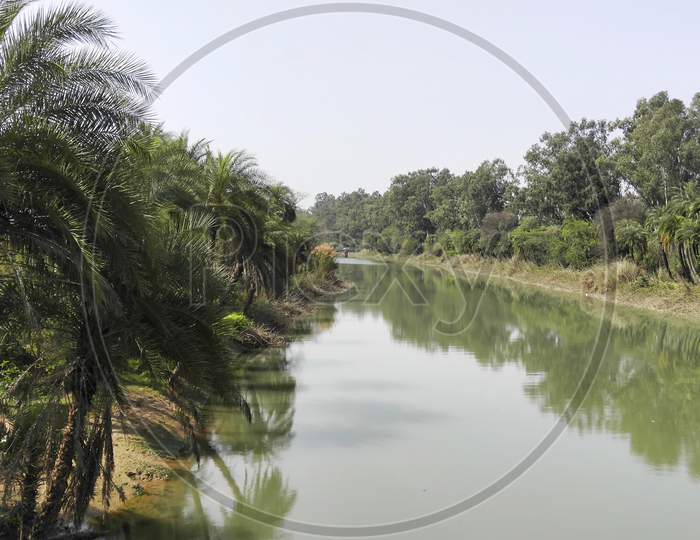 A beautiful river bank scene in Punjab