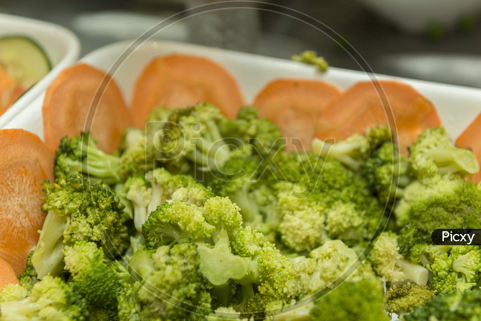 Isolated Dish Of Green Salad, Broccoli. Organic Food For A Healthy Lifestyle.