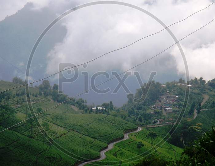 view of the green hills in Darjeeling