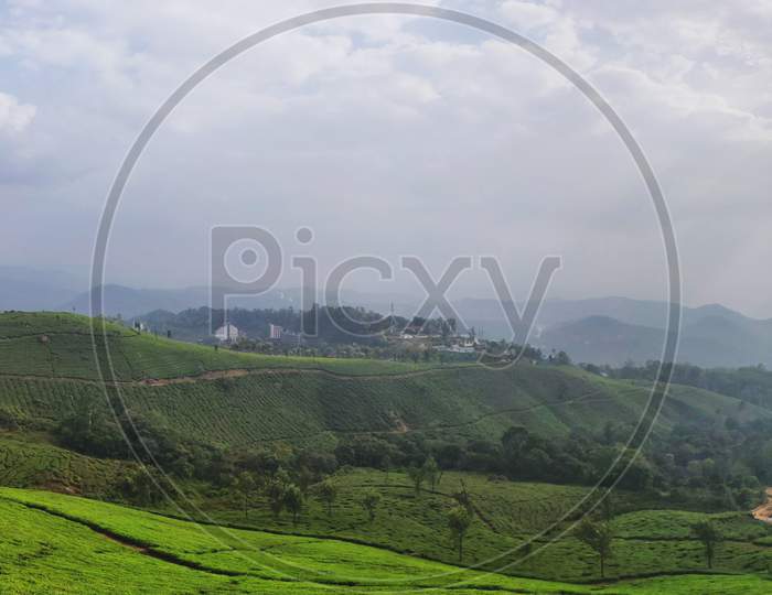 Panorama Of A Landscape Filled With Greenery (Tea Plantation) And Cloudy Sky In Munnar, Kerala, India.