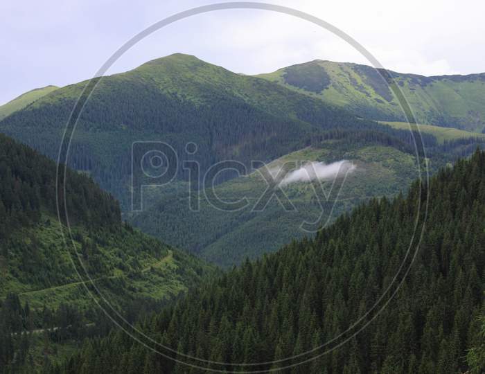 Cloud And Forest Above Valley In Rodnei Mountains