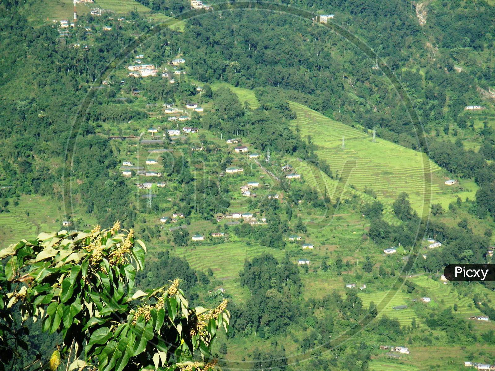 view of the green valley in Gangtok