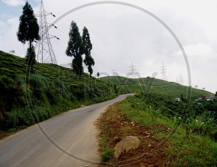 view of the green hills in Darjeeling