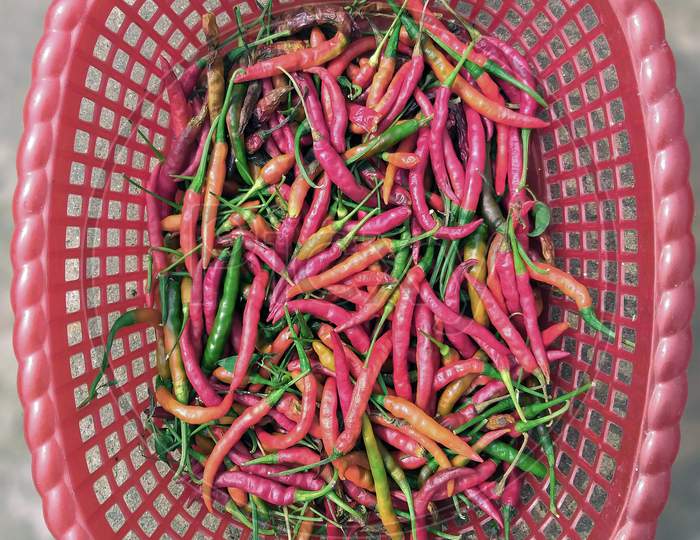 Indian Bird'S Eye Chilli In A Basket, A Variety From The Species Capsicum , Commonly Found In Asia.
