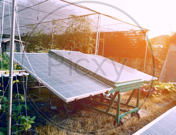 Solar Cells For Agriculture. Plant And Power Electricity Concept. Business And Industrial Concept.