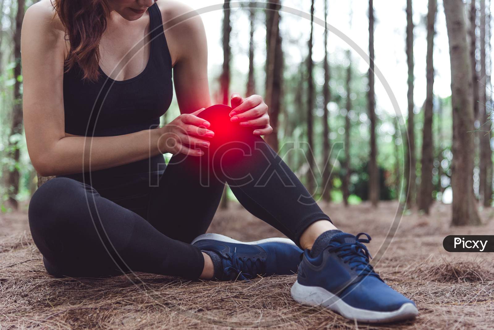 Sport Woman Injury At Knee During Jogging In Forest. Pine Woods Background.  Medical And Healthcare Concept. Nature And People Theme. Lifestyles Theme. Red Light Spot Use