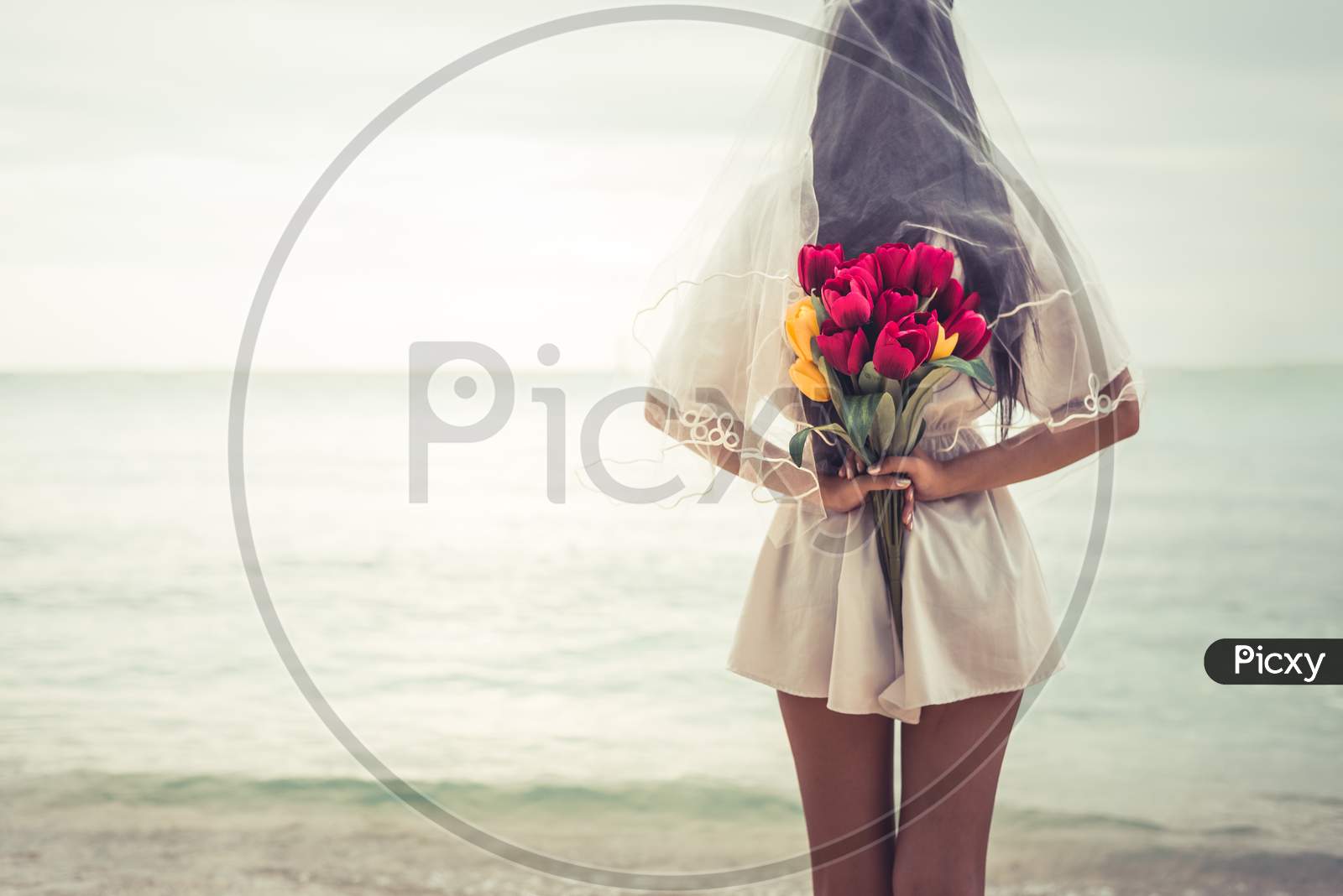Asian Woman Holding Flowers In Behind And Waiting For Someone Make Her Happy. Lonely And Single Woman Concept. Sadness And Soulmate Concept. Dark Ton Film Filter. Heart Broken And Wedding Theme.