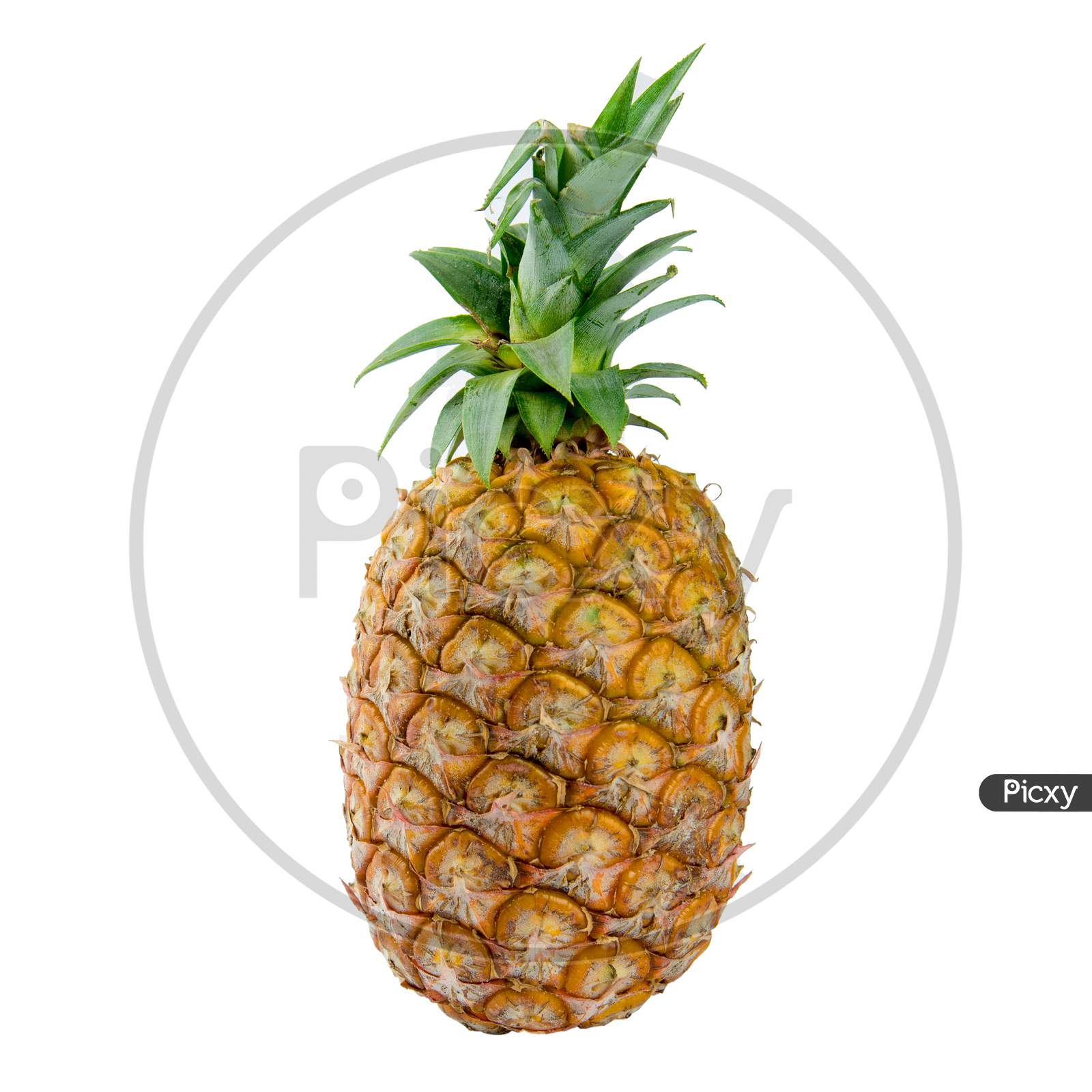 Pineapple On Isolated White Background. Food And Vegetable Concept. Clipping Path Use